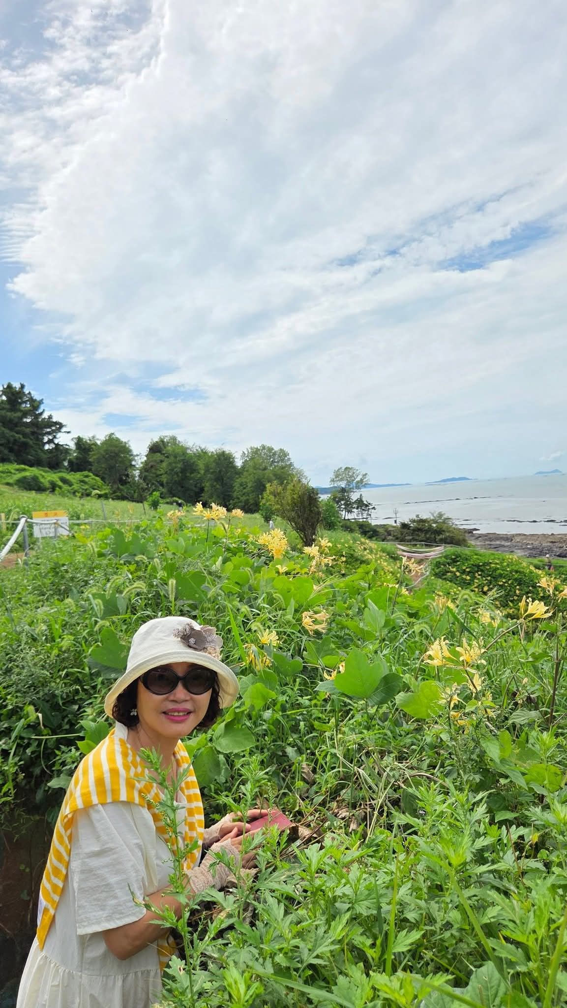 50 tuổi, tôi đã sẵn sàng nghỉ hưu nhờ 2 triệu/tháng suốt 5 năm đổi lại sự chủ động cho phần đời còn lại- Ảnh 3.