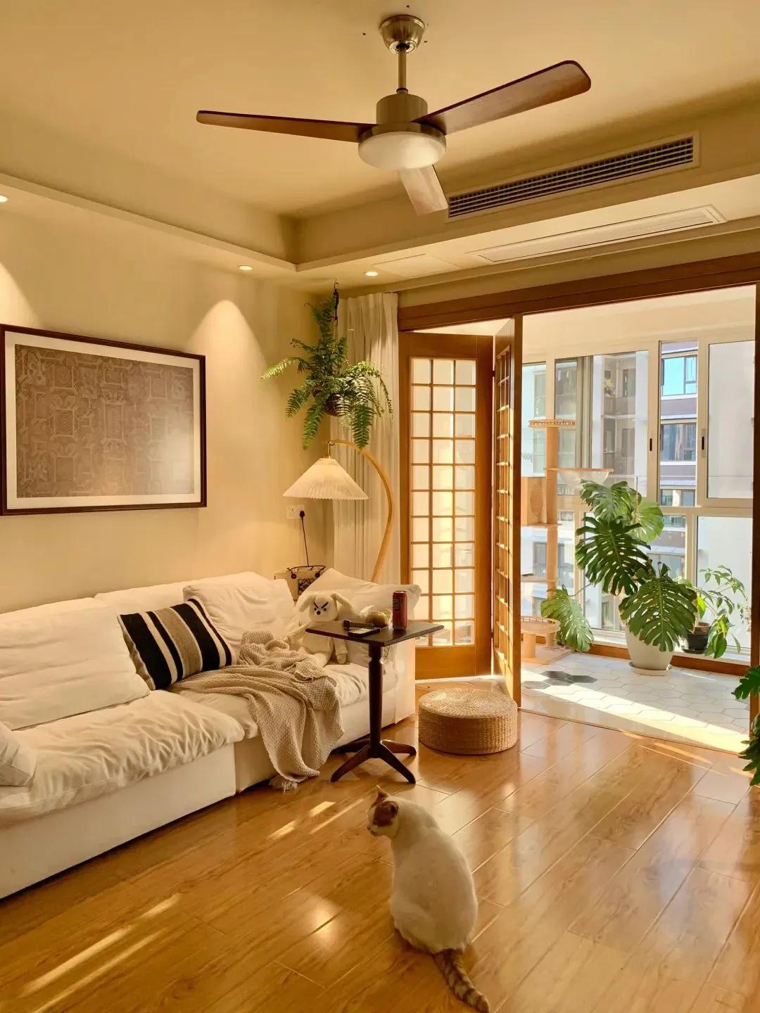 Ở nhà dọn dẹp, không mua sắm, không giao tiếp xã hội: Nữ giáo viên khiến hàng nghìn người nhìn lại cách mình đang sống- Ảnh 1.