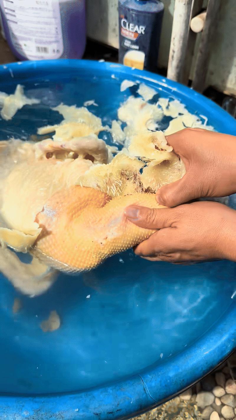 Thánh thần ơi, chưa bao giờ xem vặt lông vịt cuốn đến như vậy- Ảnh 2.