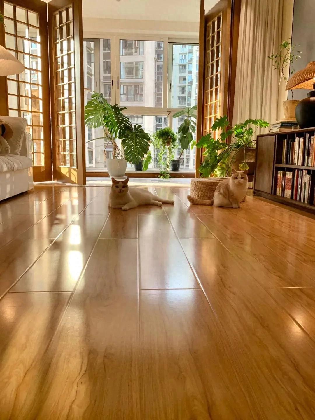 Ở nhà dọn dẹp, không mua sắm, không giao tiếp xã hội: Nữ giáo viên khiến hàng nghìn người nhìn lại cách mình đang sống- Ảnh 2.