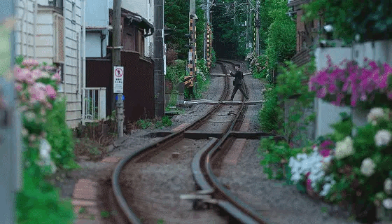 Lâu rồi mới có 1 phim ngôn tình đẹp nao lòng đến vậy: Cảnh nào cũng như tranh vẽ, lưu ảnh mỏi cả tay- Ảnh 2. Lâu rồi mới có 1 phim ngôn tình đẹp nao lòng đến vậy: Cảnh nào cũng như tranh vẽ, lưu ảnh mỏi cả tay- Ảnh 2.