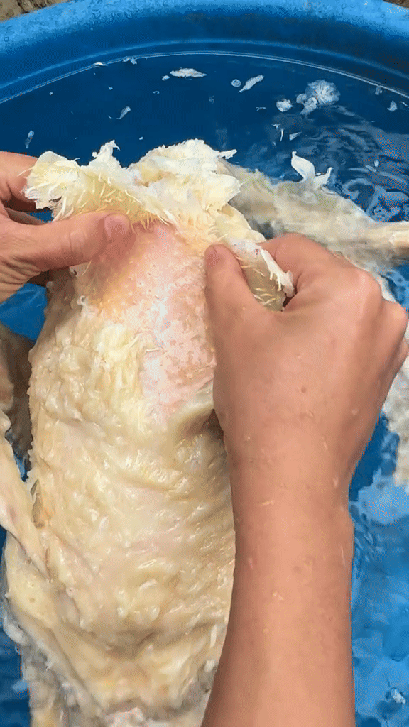 Thánh thần ơi, chưa bao giờ xem vặt lông vịt cuốn đến như vậy- Ảnh 3.