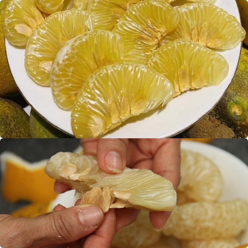 Giáp Tết nhà la liệt bưởi, tận dụng hạt bưởi để ủ tóc: Kết quả là tóc bồng bềnh thơm mượt cực đỉnh- Ảnh 1.