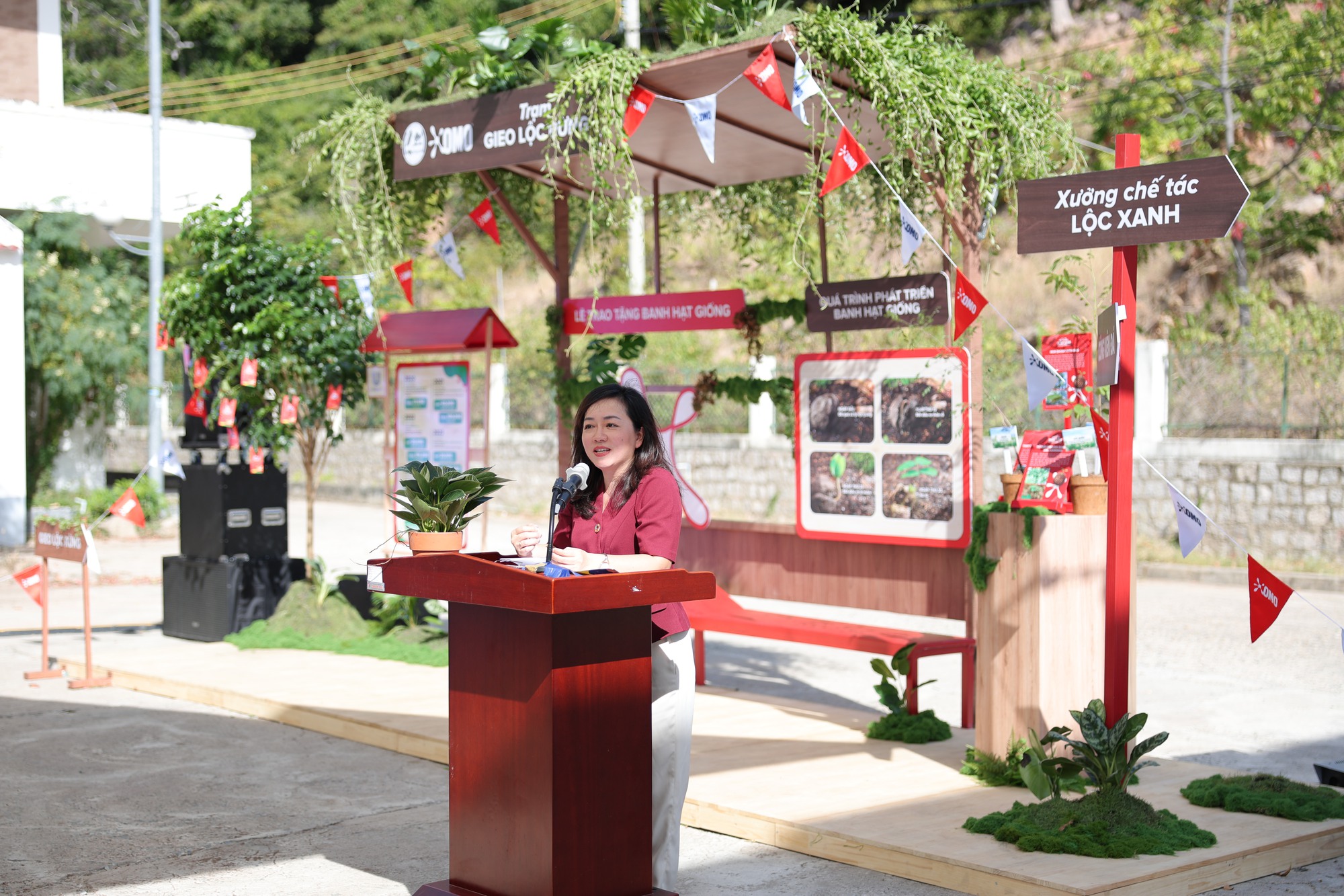 OMO viết chương tiếp của hành trình 1 triệu cây xanh: Bắt đầu từ Núi Chúa đến khắp Việt Nam- Ảnh 4.