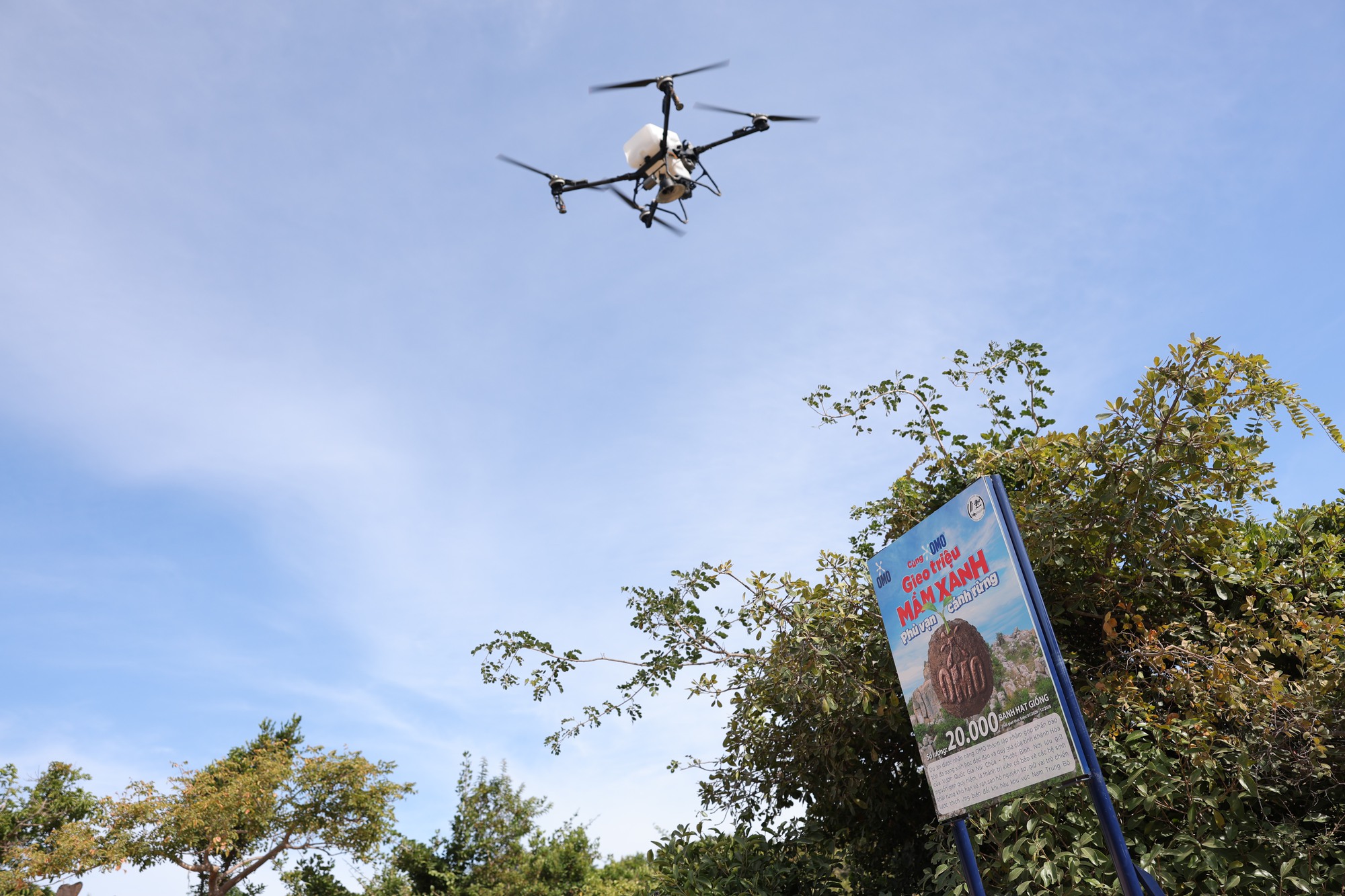 OMO viết chương tiếp của hành trình 1 triệu cây xanh: Bắt đầu từ Núi Chúa đến khắp Việt Nam- Ảnh 2.