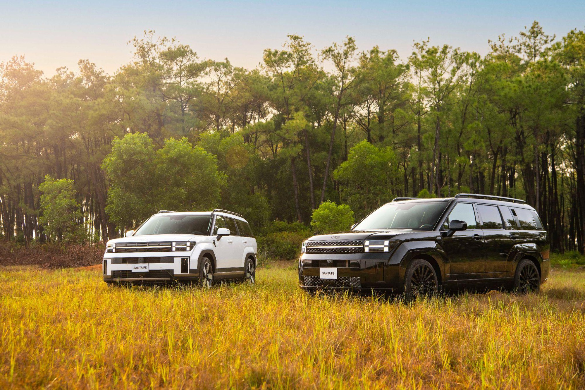 Cú lội ngược dòng của Hyundai năm 2025 - khi xe Hàn lấy lại phong độ tại Việt Nam- Ảnh 1.