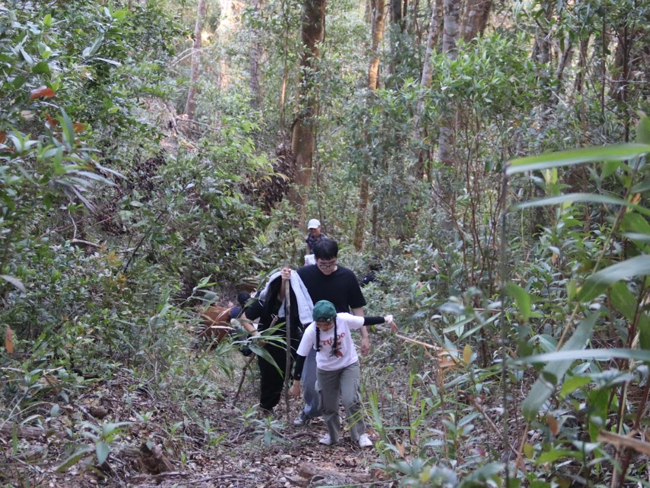 “Ngược ngàn” vào Đak Sơmei: Khi mầm xanh viết tiếp bản tình ca của đất- Ảnh 3.