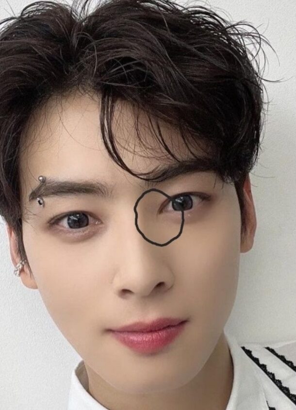 "Gương mặt thiên tài" của Cha Eun Woo là giả dối nốt?- Ảnh 3.