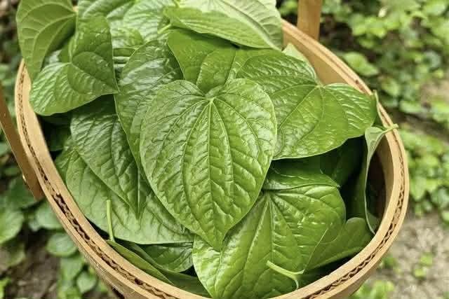 Đừng làm chả lá lốt theo cách cũ nữa, thử ngay công thức mới toanh này ăn siêu ngon lại giòn rụm cực đã- Ảnh 1.