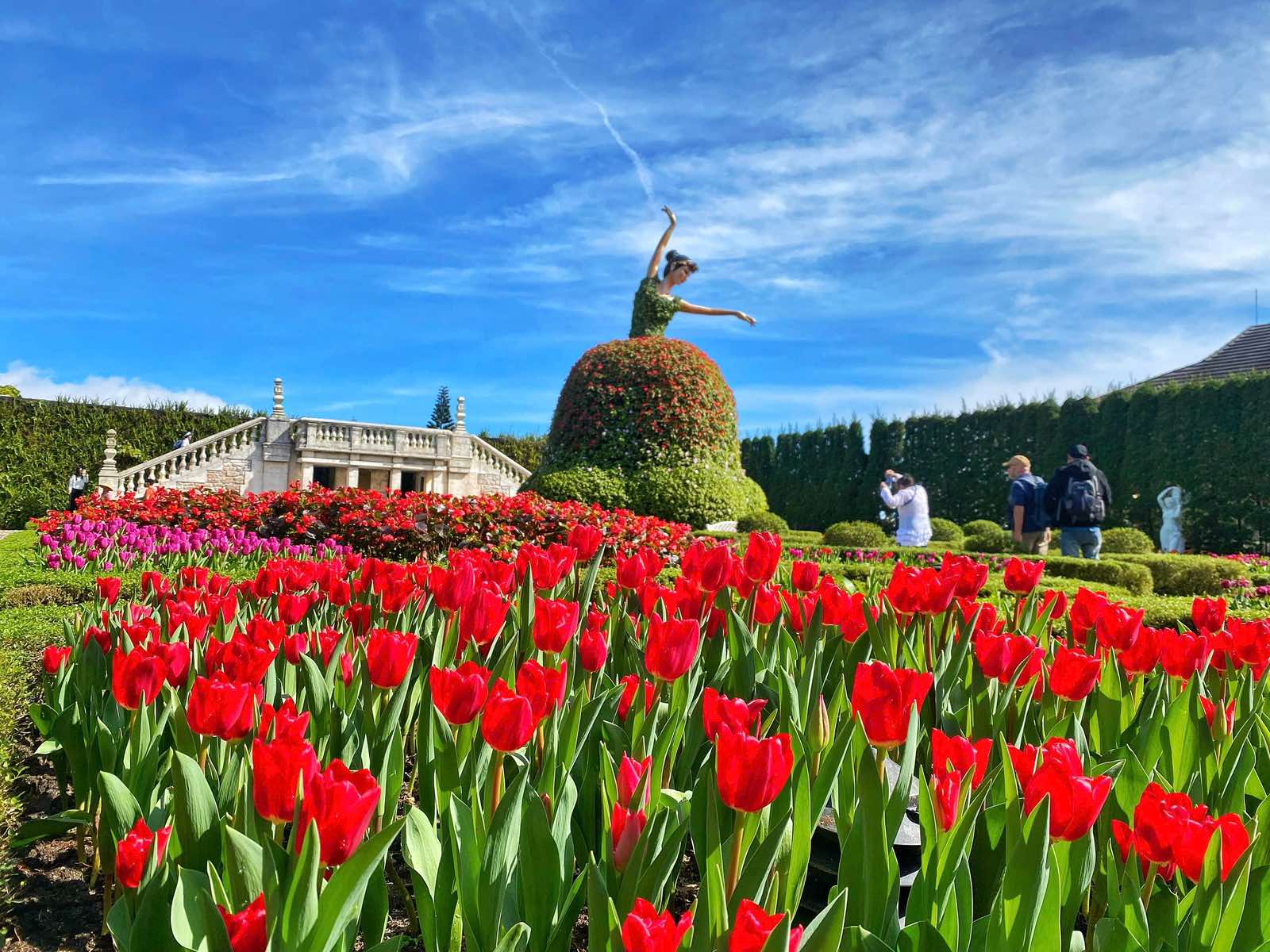 Sun World Ba Na Hills hứa hẹn hút khách dịp Tết Bính Ngọ với hàng triệu bông tulip- Ảnh 1.