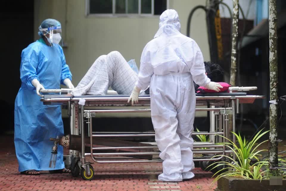 Ca nguy kịch do virus Nipah dùng thứ này trước khi phát bệnh: Nhiều người ăn kiêng ở Việt Nam quan tâm- Ảnh 1.