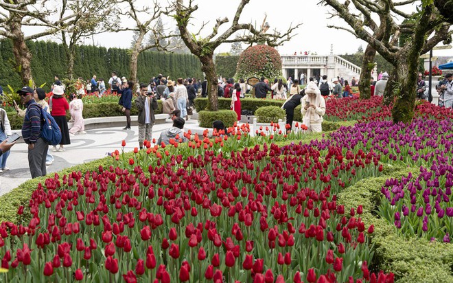 Du xuân Bính Ngọ trên mây với triệu sắc hoa và lễ hội tại Sun World Ba Na Hills- Ảnh 1.