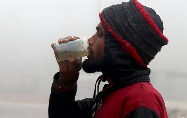 Ca nguy kịch do virus Nipah dùng thứ này trước khi phát bệnh: Nhiều người ăn kiêng ở Việt Nam quan tâm- Ảnh 3.