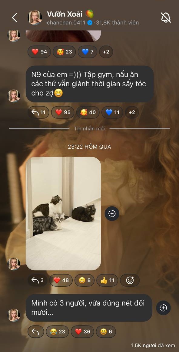 Xoài Non có động thái lạ giữa lúc lan truyền thông tin sang Thái Lan làm IVF- Ảnh 3.