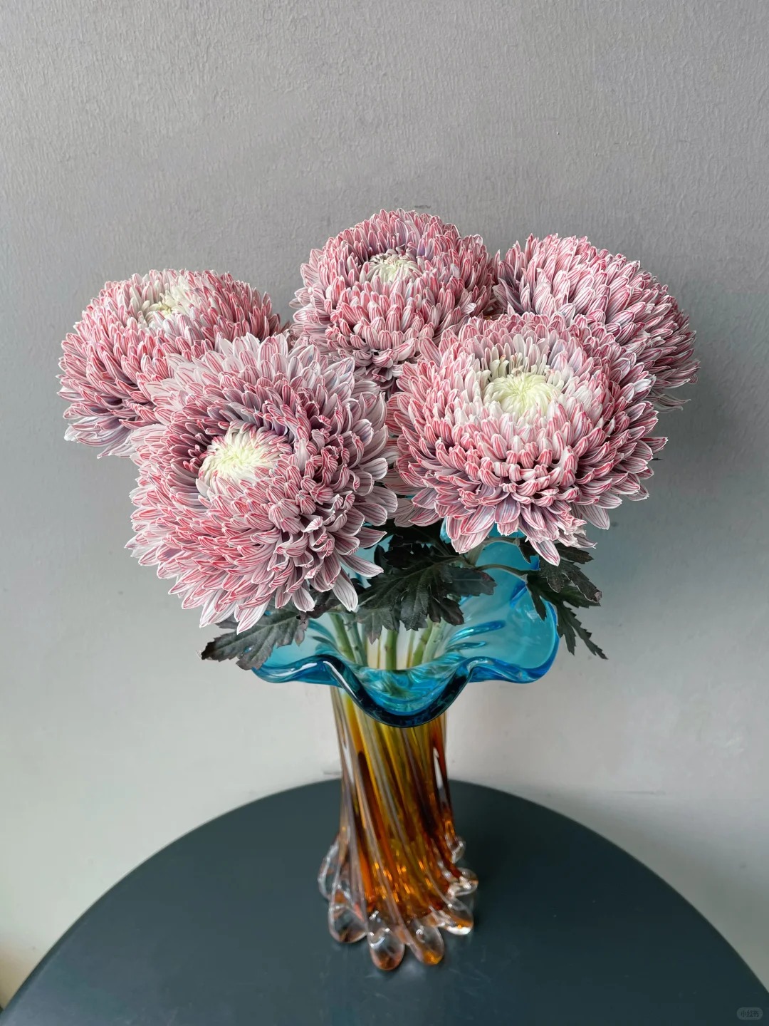 Chi hơn 300k rước bình hoa "khổng lồ" về nhà: Loài hoa định nghĩa lại hai chữ "phú quý" cho phòng khách ngày xuân- Ảnh 14.