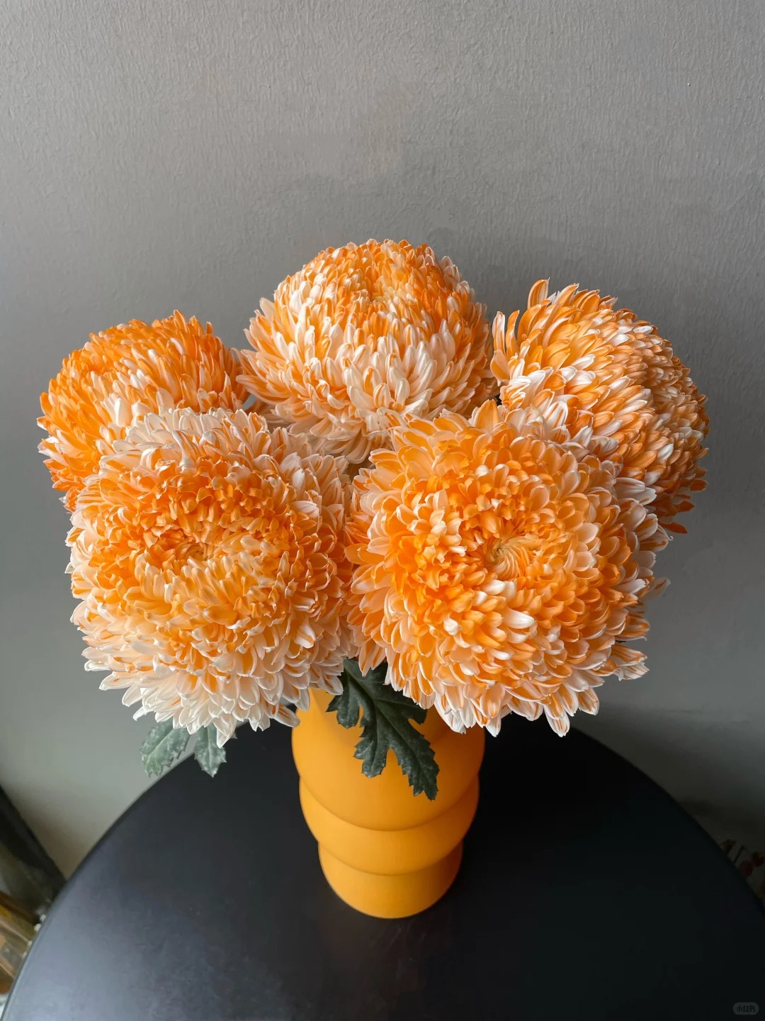 Chi hơn 300k rước bình hoa "khổng lồ" về nhà: Loài hoa định nghĩa lại hai chữ "phú quý" cho phòng khách ngày xuân- Ảnh 36.