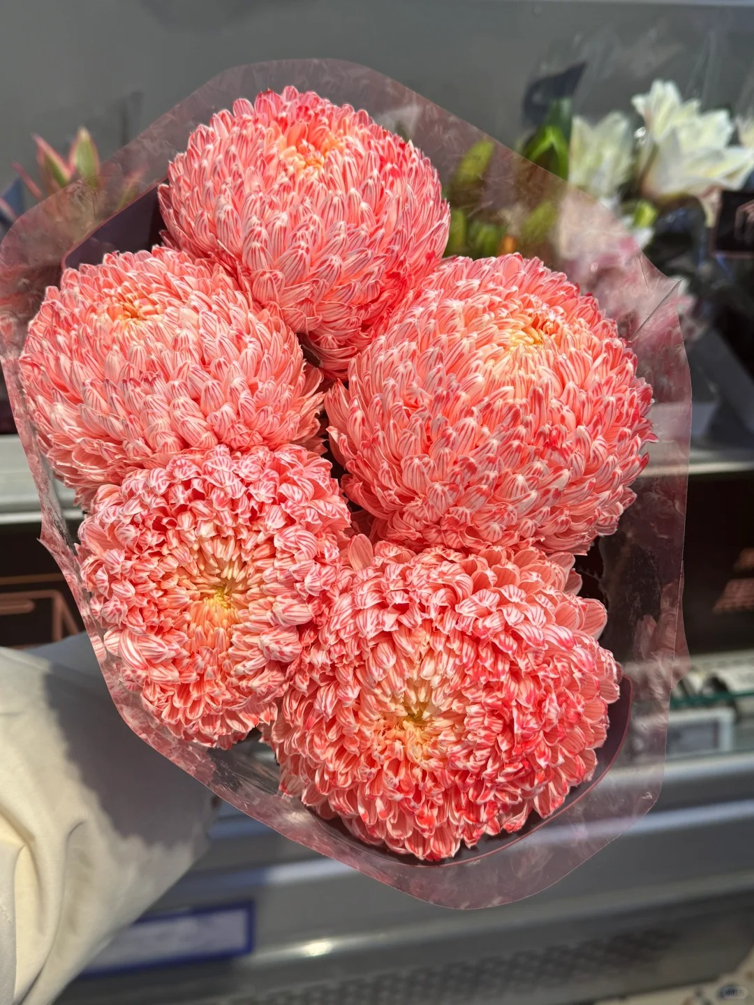 Chi hơn 300k rước bình hoa "khổng lồ" về nhà: Loài hoa định nghĩa lại hai chữ "phú quý" cho phòng khách ngày xuân- Ảnh 8.