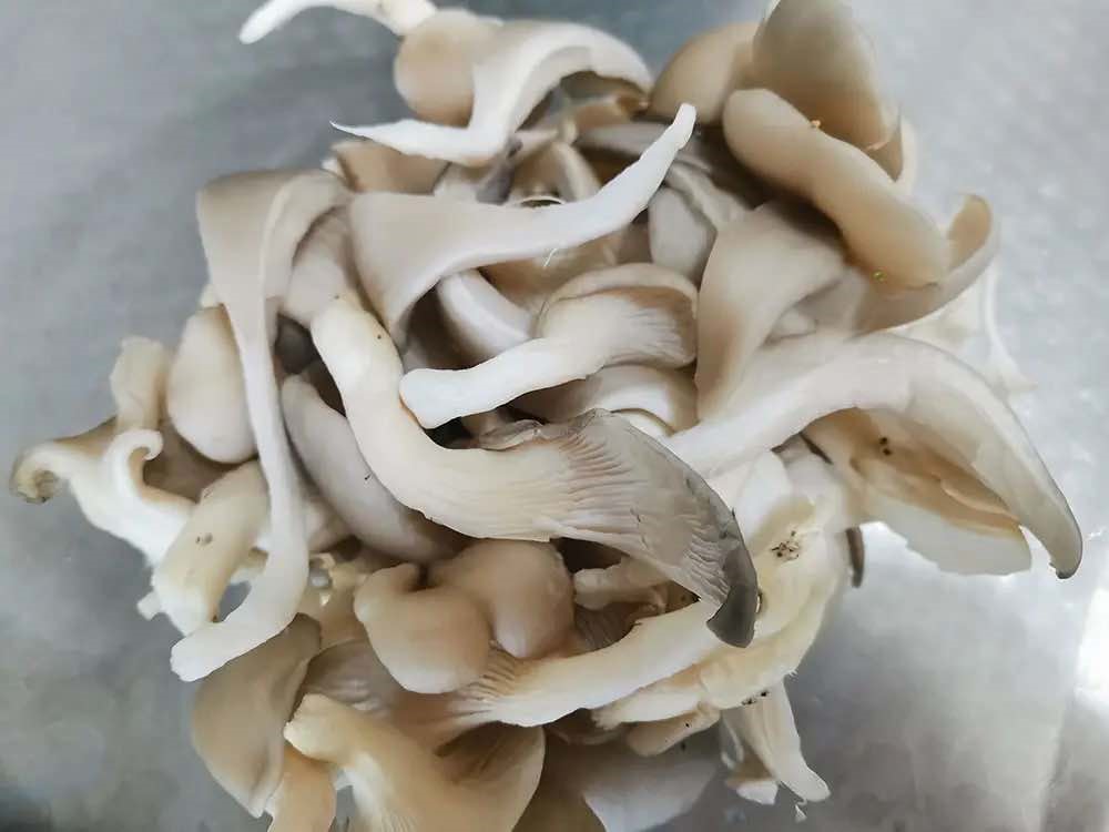 Mẹ tôi thường nấu món này cho cả nhà ăn khi trời lạnh: Mùi thơm ngào ngạt, ngửi thôi đã muốn ăn sạch nồi- Ảnh 5.