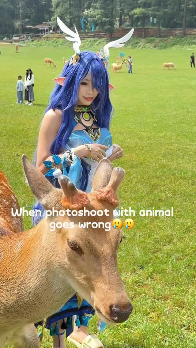 photo-1767409131514 photo-1767409131514