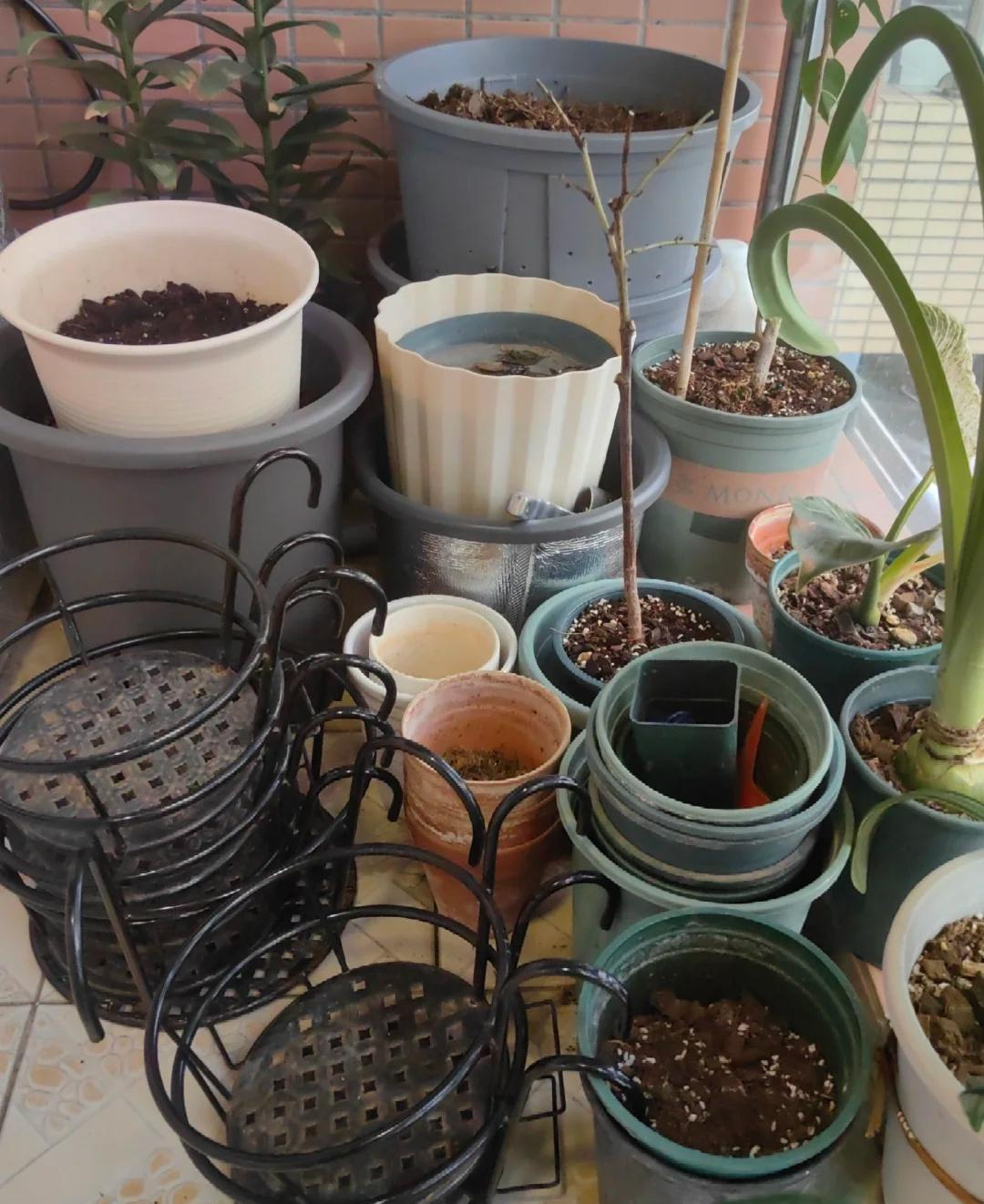 Nhà càng sạch, phước càng nhiều: Dù ở nhà rộng hay chật, 9 thứ này càng tích trữ càng hao lộc- Ảnh 6. Nhà càng sạch, phước càng nhiều: Dù ở nhà rộng hay chật, 9 thứ này càng tích trữ càng hao lộc- Ảnh 6.