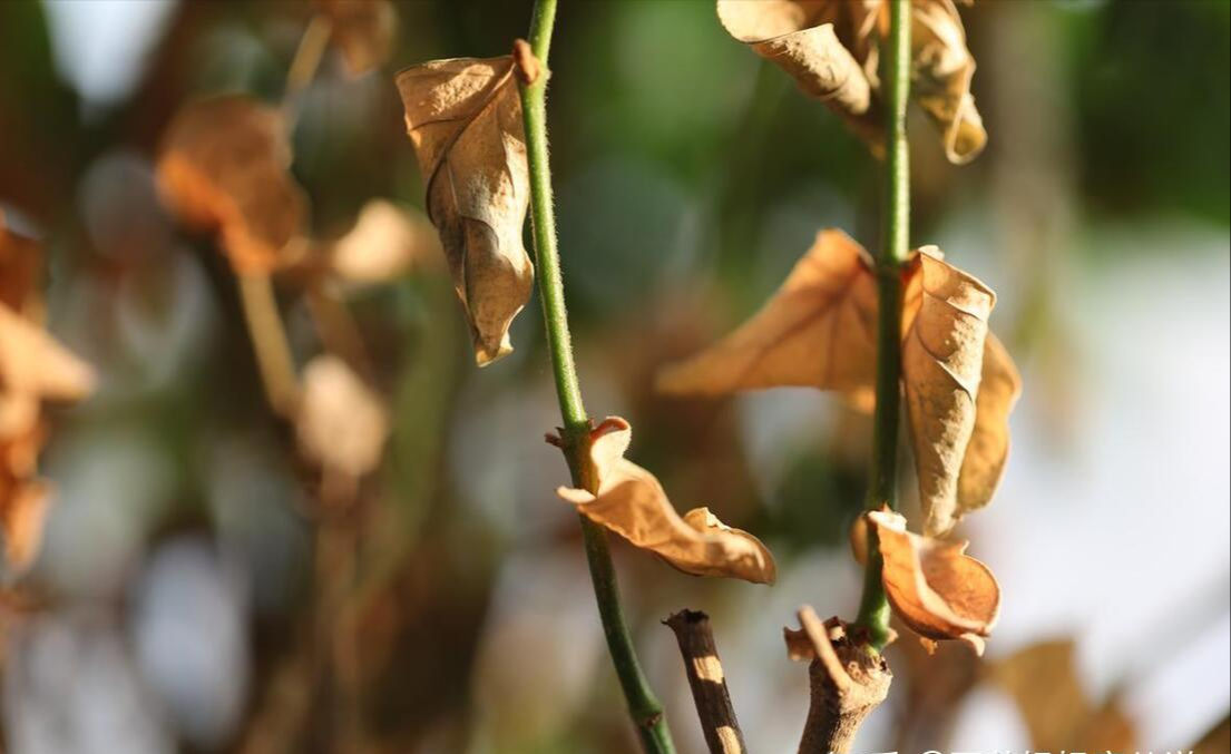 Dọn nhà trước ngày 24 tháng Chạp: 4 thứ nên bỏ ngay để năm mới đỡ chật, đỡ mệt, đỡ nặng đầu- Ảnh 4. Dọn nhà trước ngày 24 tháng Chạp: 4 thứ nên bỏ ngay để năm mới đỡ chật, đỡ mệt, đỡ nặng đầu- Ảnh 4.