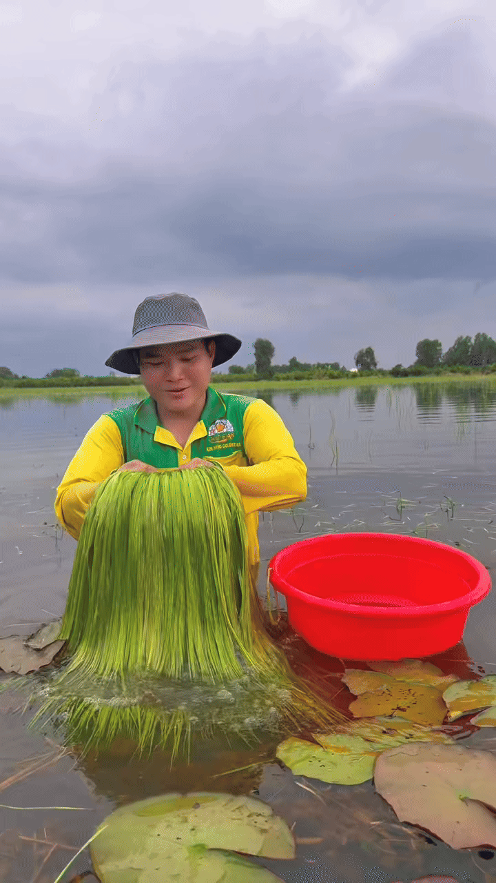 Đặc sản trời cho miền Tây, cả nước trầm trồ- Ảnh 1.