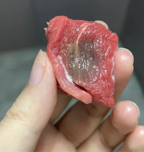 Thịt bò chuyển sang màu xám có phải bị hỏng? Chuyên gia chỉ mẹo xác định độ tươi của thịt bò- Ảnh 3.