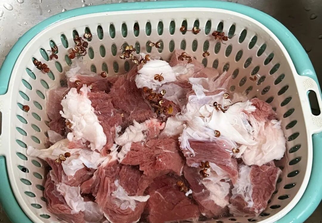 Mẹ tôi thường nấu món bún này: Mùi thơm lan tỏa, ngon đến nỗi cả nhà ăn hết sạch không còn một giọt nước dùng- Ảnh 2. Mẹ tôi thường nấu món bún này: Mùi thơm lan tỏa, ngon đến nỗi cả nhà ăn hết sạch không còn một giọt nước dùng- Ảnh 2.