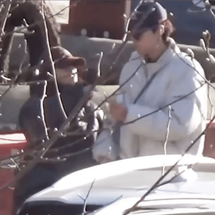 Tóm gọn cảnh hẹn hò tình tứ của cặp diễn viên trẻ, còn đút cho nhau ăn giữa phố- Ảnh 2.