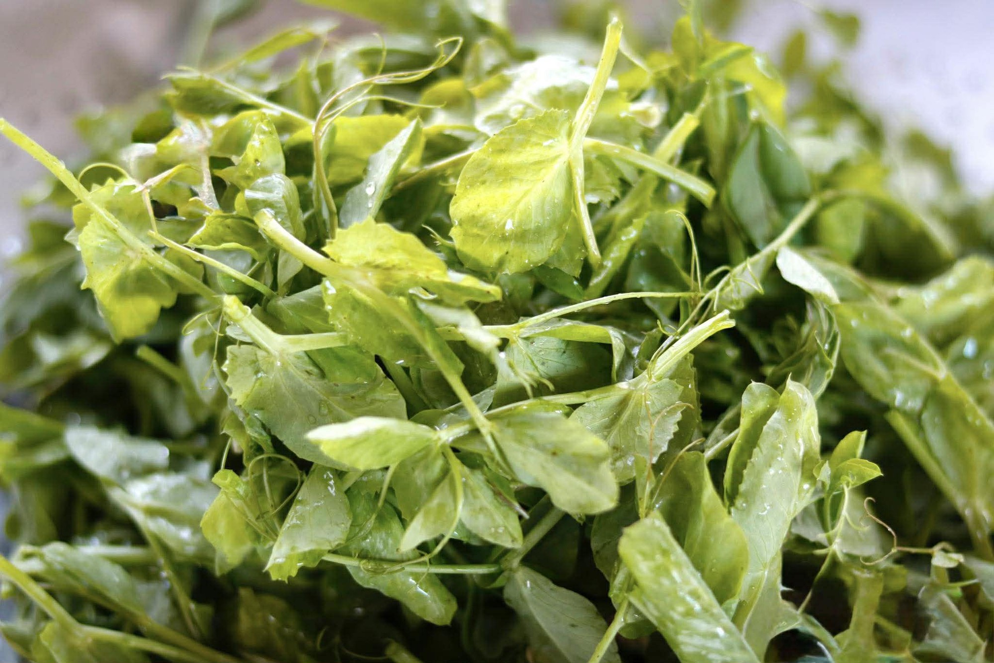 Hôm nay, dù bận đến đâu, đừng quên ăn món canh này: Dễ nấu mà ngon lại giàu dinh dưỡng và giúp chống lạnh- Ảnh 2.