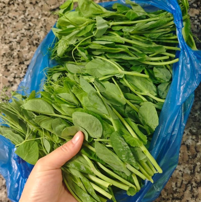 Hôm nay, dù bận đến đâu, đừng quên ăn món canh này: Dễ nấu mà ngon lại giàu dinh dưỡng và giúp chống lạnh- Ảnh 1.