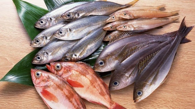 Top 4 loại cá "ngậm" nhiều thủy ngân bậc nhất- Ảnh 3. Top 4 loại cá "ngậm" nhiều thủy ngân bậc nhất- Ảnh 3.