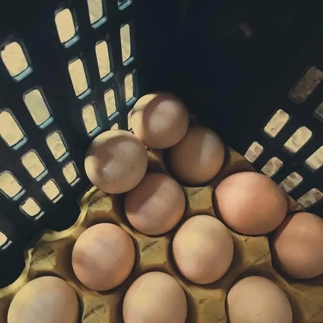 Ra chợ mua trứng gặp 3 loại này, ngon rẻ mấy cũng đừng mua- Ảnh 2.