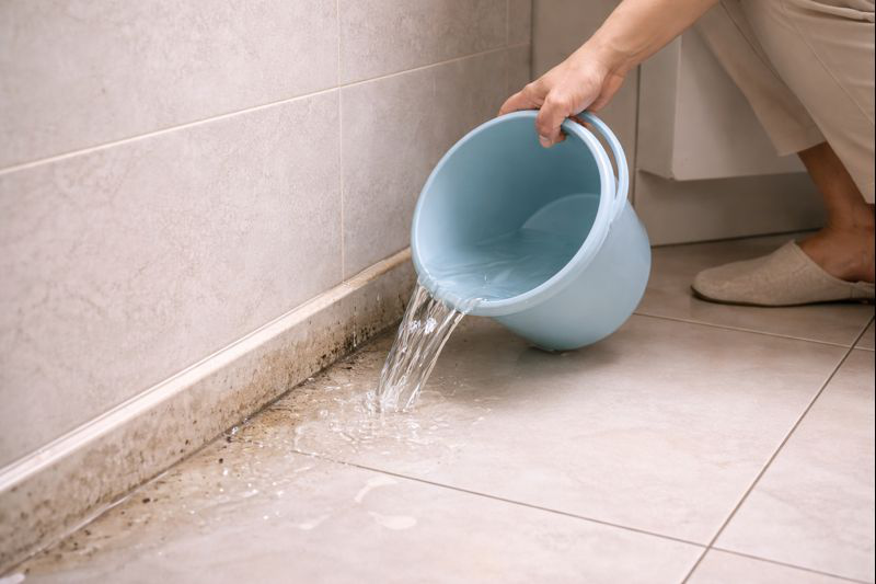 Mẹ tôi truyền bí quyết: Dội nước vào góc nhà này mỗi tuần - muỗi, kiến giảm hẳn mà không cần thuốc- Ảnh 2.