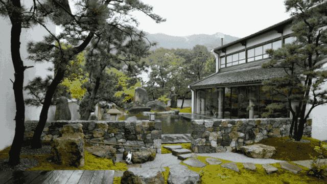 300m² đất thuê, 30 năm chỉ trồng 2 loại cây: Một bài toán “giữ tiền” ngược đời của đôi vợ chồng trung niên- Ảnh 10. 300m² đất thuê, 30 năm chỉ trồng 2 loại cây: Một bài toán “giữ tiền” ngược đời của đôi vợ chồng trung niên- Ảnh 10.