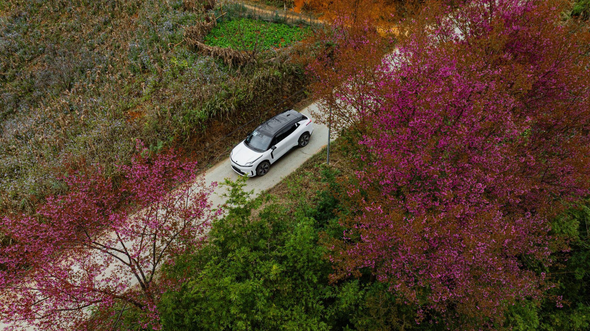 Lynk & Co 08 EM-P dẫn đầu phân khúc xe gầm cao cỡ D tại Car Awards 2025- Ảnh 3. Lynk & Co 08 EM-P dẫn đầu phân khúc xe gầm cao cỡ D tại Car Awards 2025- Ảnh 3.