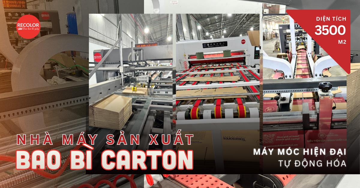 RECOLOR và giải pháp thùng carton phù hợp cho doanh nghiệp- Ảnh 4.