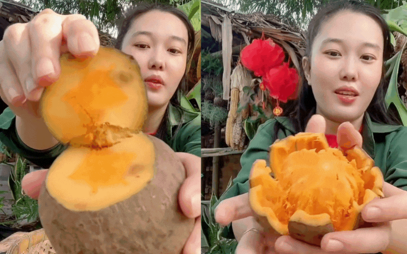 Cơn sốt quả lạ Chupa Chupa Cơn sốt quả lạ Chupa Chupa