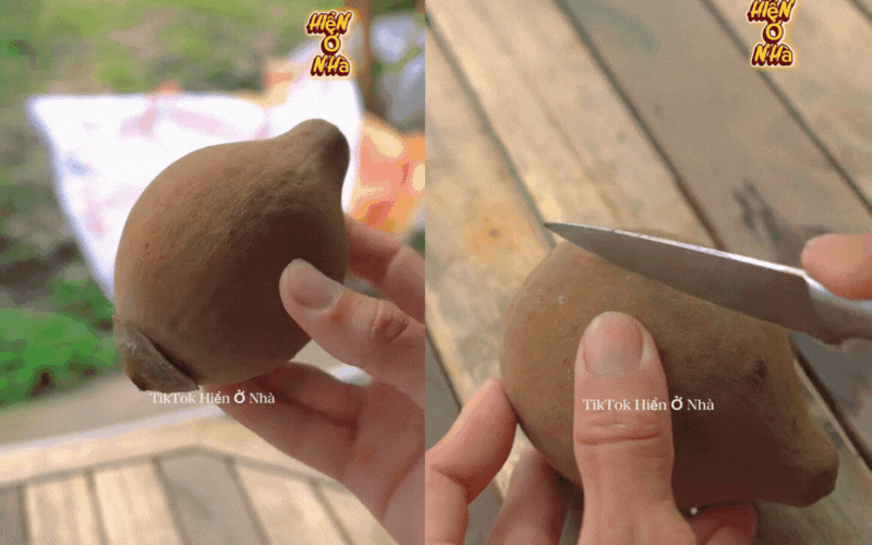 Cơn sốt quả lạ Chupa Chupa Cơn sốt quả lạ Chupa Chupa