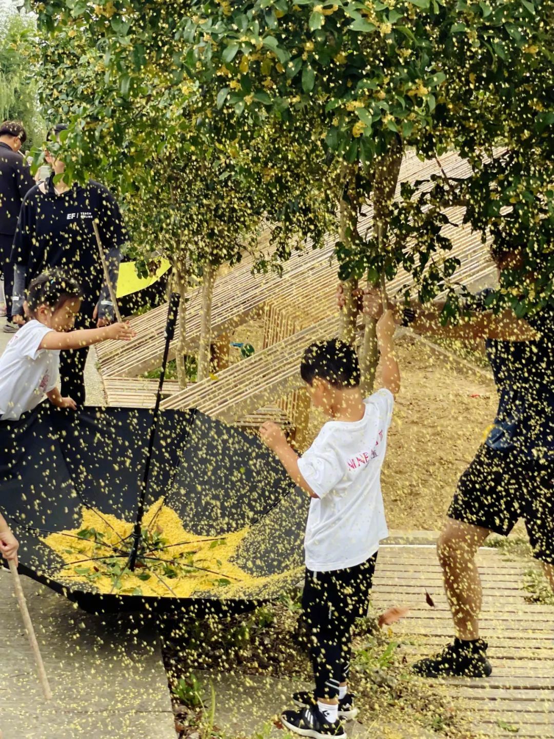 Vừa đi làm, vừa làm nông: Nông trại 400 mẫu trở thành quyết định tài chính đúng của đôi vợ chồng trung niên- Ảnh 8.