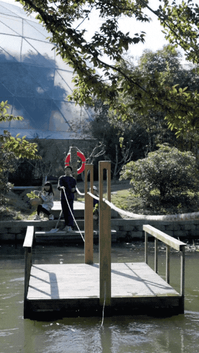 Vừa đi làm, vừa làm nông: Nông trại 400 mẫu trở thành quyết định tài chính đúng của đôi vợ chồng trung niên- Ảnh 3.