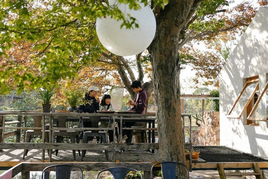 Vừa đi làm, vừa làm nông: Nông trại 400 mẫu trở thành quyết định tài chính đúng của đôi vợ chồng trung niên- Ảnh 2.