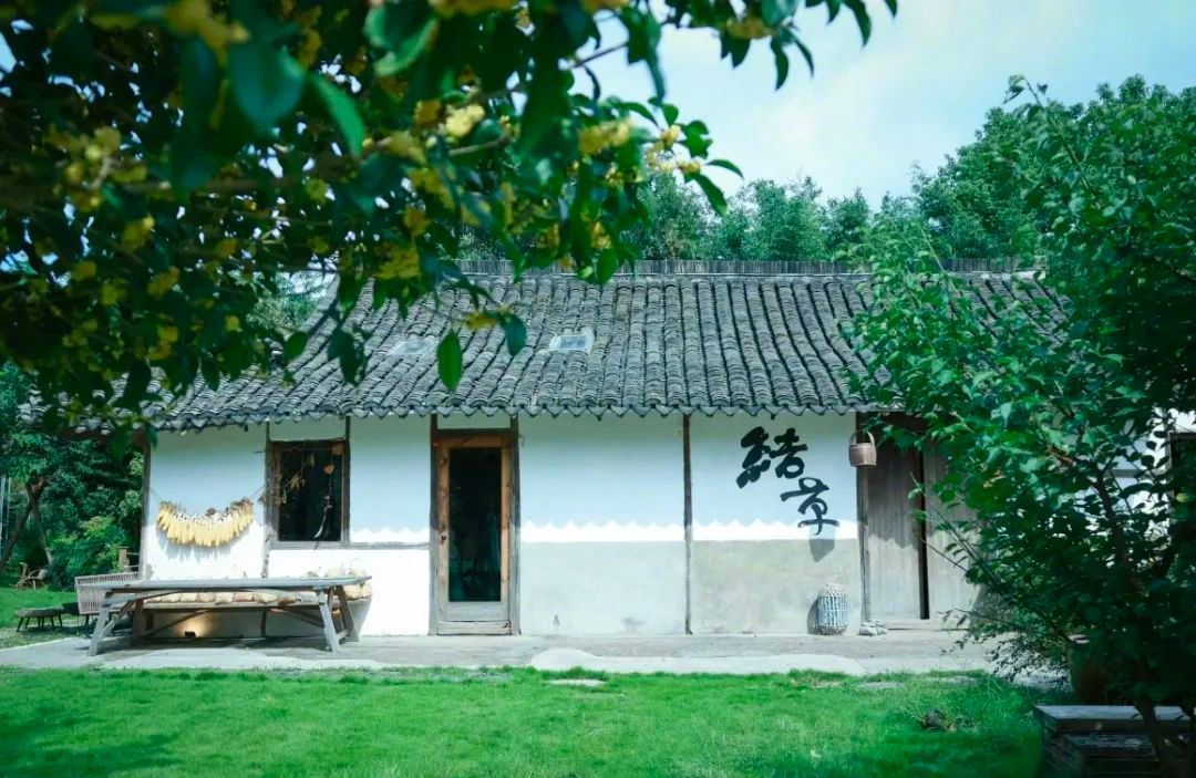 Vừa đi làm, vừa làm nông: Nông trại 400 mẫu trở thành quyết định tài chính đúng của đôi vợ chồng trung niên- Ảnh 1.