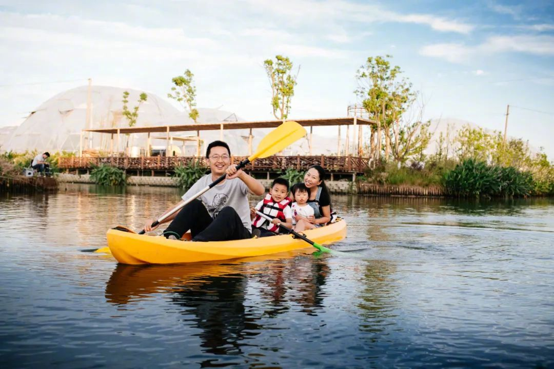 Vừa đi làm, vừa làm nông: Nông trại 400 mẫu trở thành quyết định tài chính đúng của đôi vợ chồng trung niên- Ảnh 4.