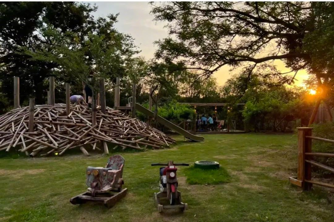 Vừa đi làm, vừa làm nông: Nông trại 400 mẫu trở thành quyết định tài chính đúng của đôi vợ chồng trung niên- Ảnh 9.