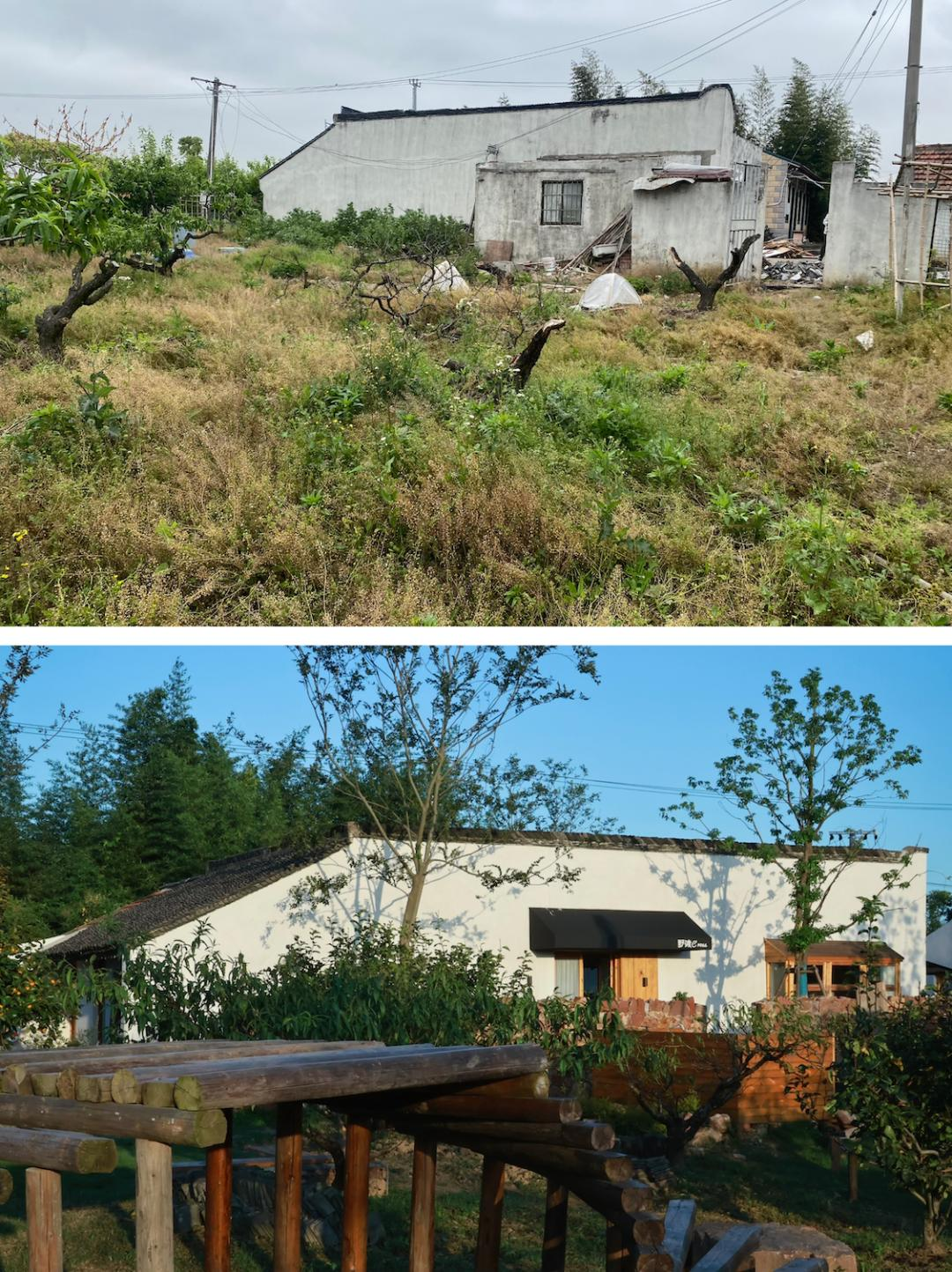 Vừa đi làm, vừa làm nông: Nông trại 400 mẫu trở thành quyết định tài chính đúng của đôi vợ chồng trung niên- Ảnh 12.