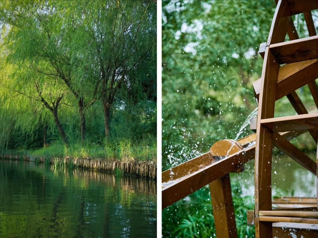 Vừa đi làm, vừa làm nông: Nông trại 400 mẫu trở thành quyết định tài chính đúng của đôi vợ chồng trung niên- Ảnh 17.