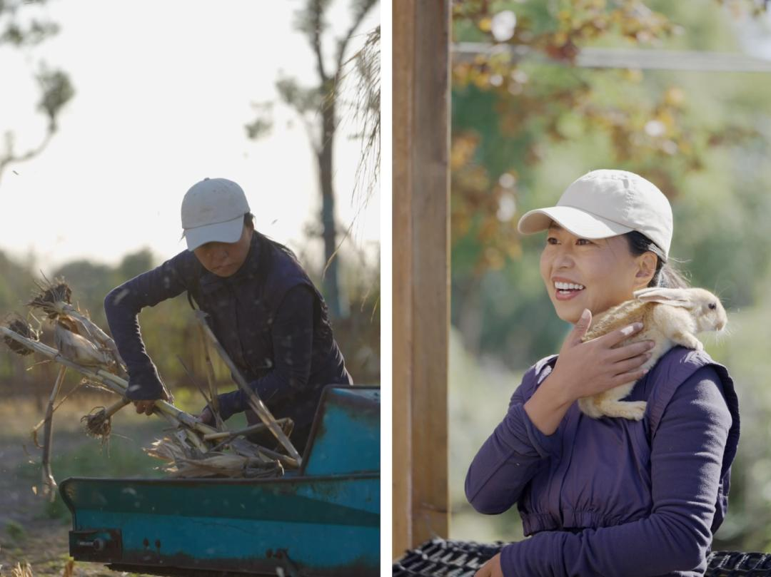 Vừa đi làm, vừa làm nông: Nông trại 400 mẫu trở thành quyết định tài chính đúng của đôi vợ chồng trung niên- Ảnh 15.