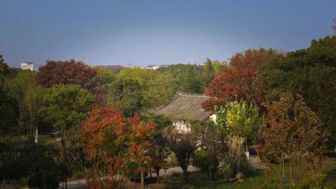 Vừa đi làm, vừa làm nông: Nông trại 400 mẫu trở thành quyết định tài chính đúng của đôi vợ chồng trung niên- Ảnh 19.