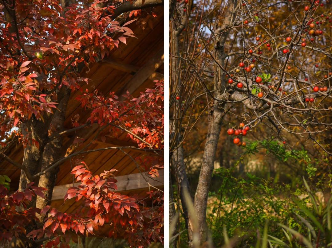 Vừa đi làm, vừa làm nông: Nông trại 400 mẫu trở thành quyết định tài chính đúng của đôi vợ chồng trung niên- Ảnh 18.